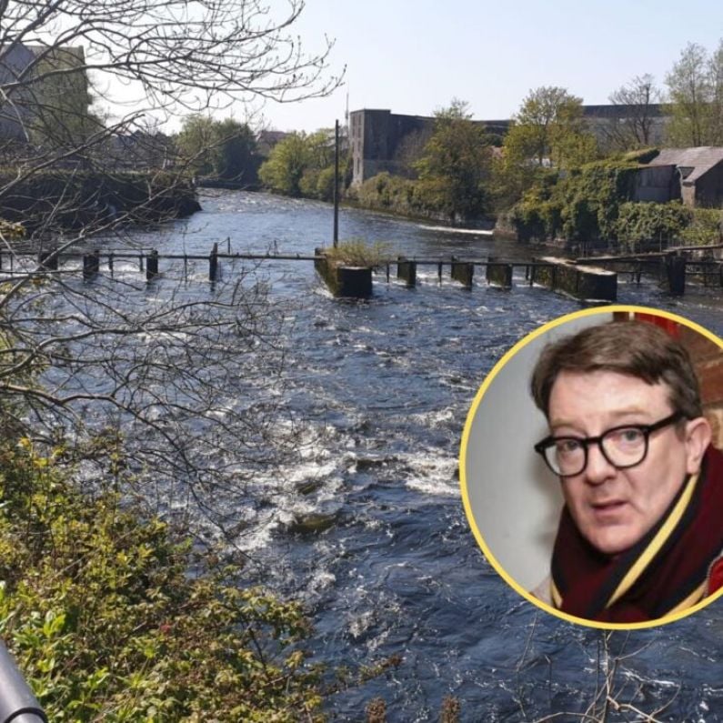 Demand for removal of lethal steel structures from River Corrib preventing rescue access