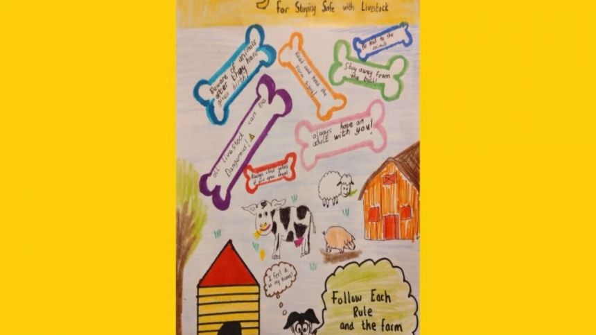 12 year old Clonmoylan boy named overall winner of Farm Safety Art Competition