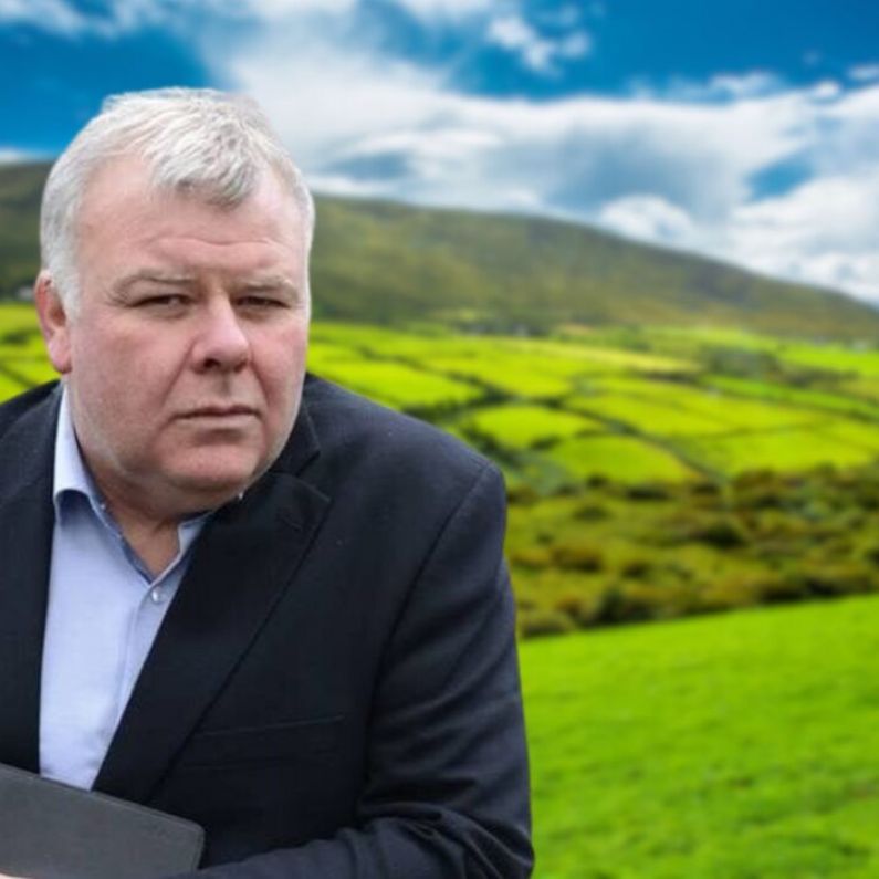 Michael Fitzmaurice warns Nature Restoration law will put farmers in a 'straight jacket'