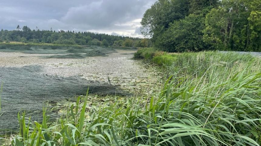 Concern as Mountbellew Lake dries up following gate failure