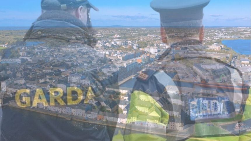 Garda appeal over arson attacks in Newcastle and Bohermore