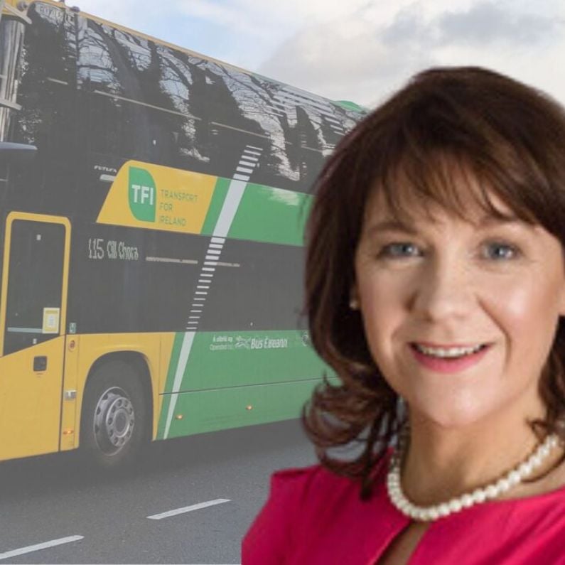 Demand for expansion of public bus services in South Galway