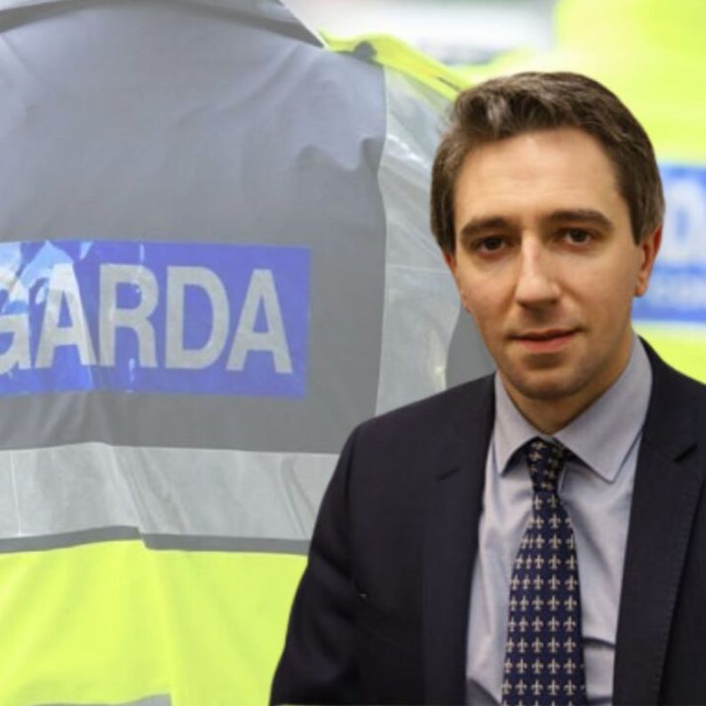 Simon Harris says initiative in Galway next year will help tackle rural crime