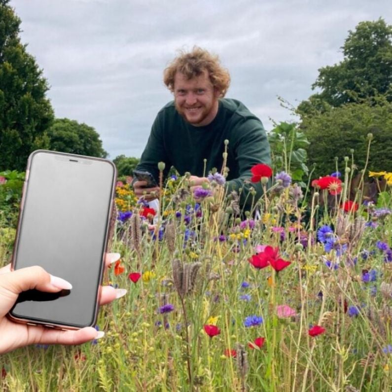 University of Galway study uncovers problems with plant identifier smartphone apps