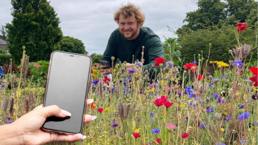 University of Galway study uncovers problems with plant identifier smartphone apps