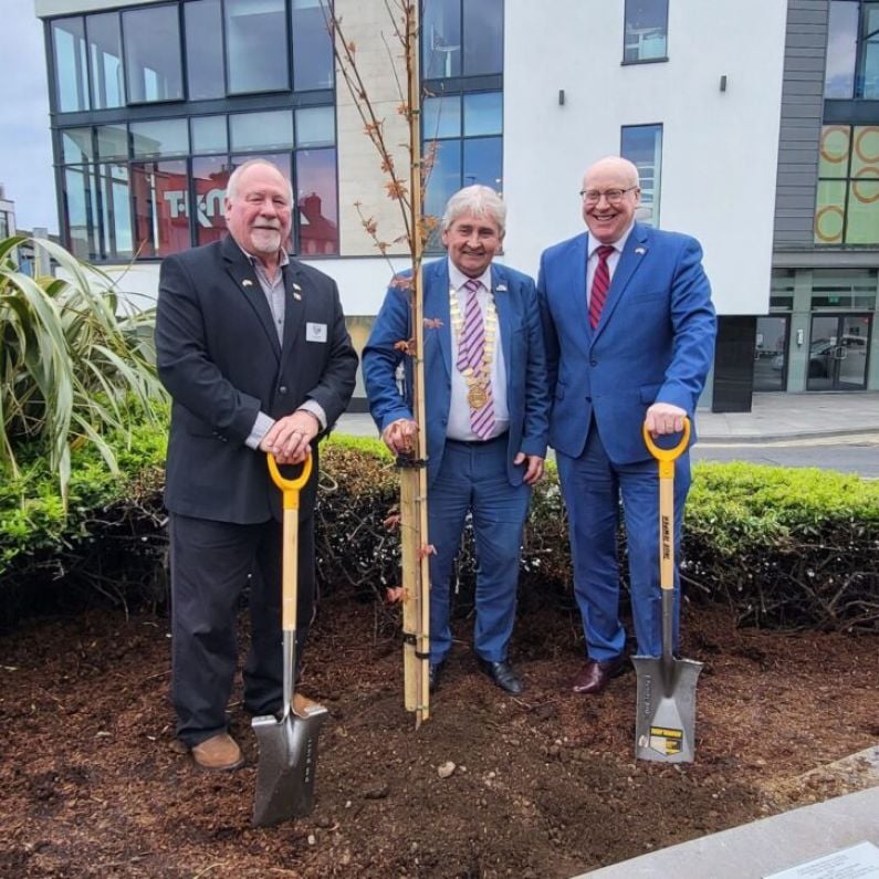 Tree planting marks 20th anniversary of Galway twinning with Washington County