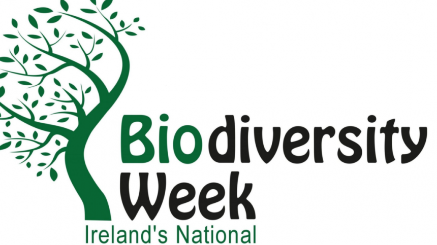 Week-long events at Merlin Woods for Biodiversity Week