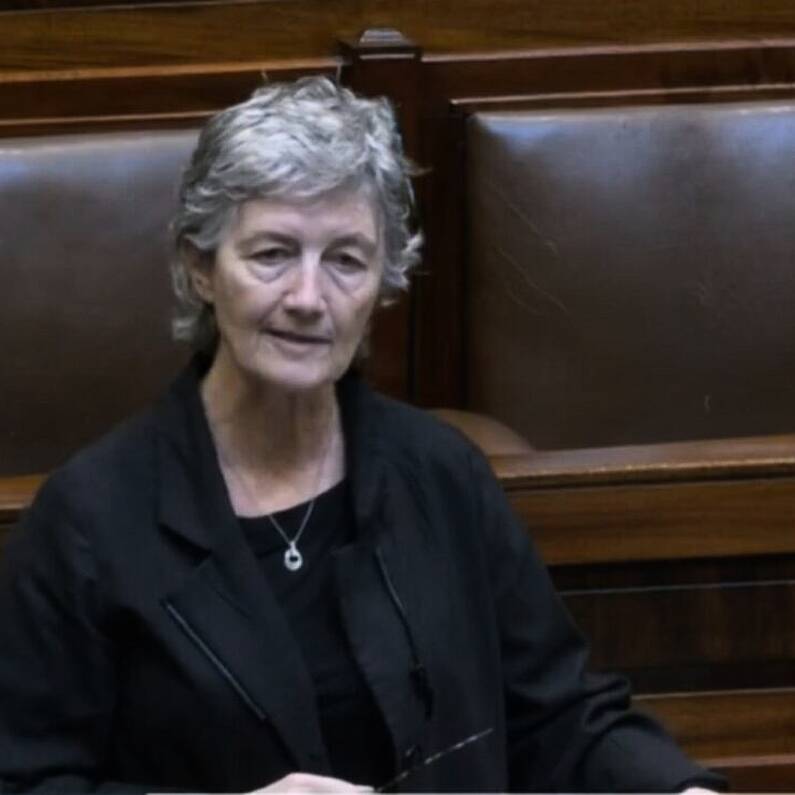 Catherine Connolly concerned new legislation on domestic violence will add "another layer of bureaucracy"