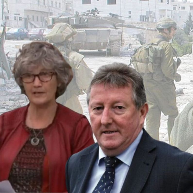 Local TDs urge Government to take stronger stance on Israeli actions in Palestine