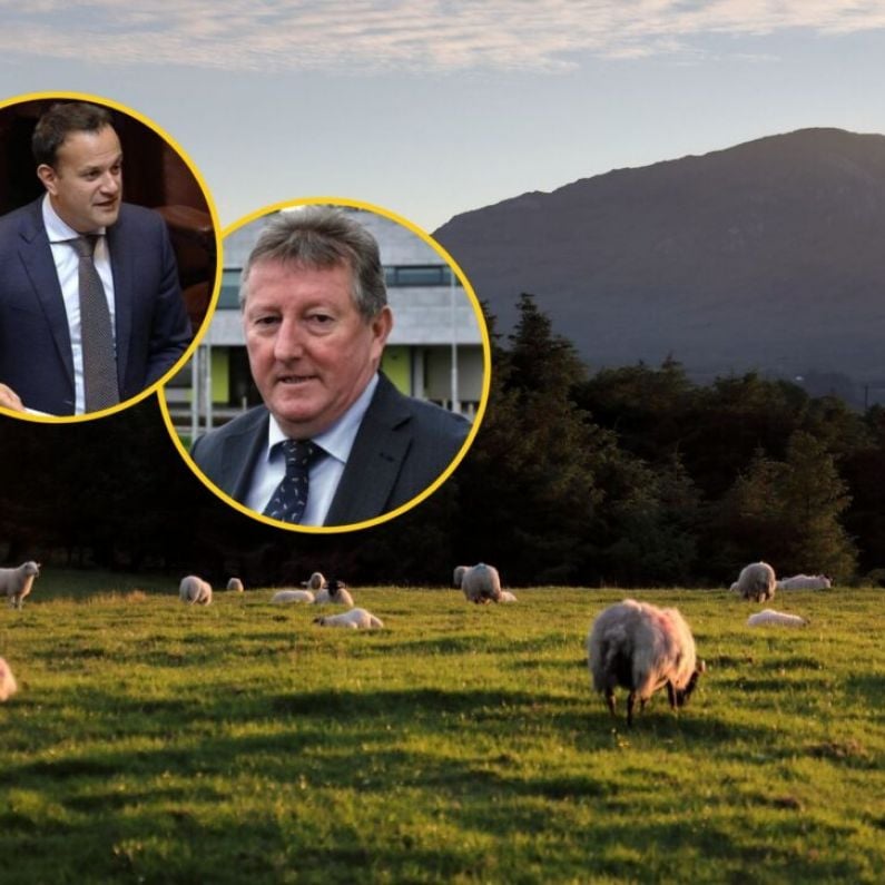 Taoiseach gives Sean Canney commitment farm families will be exempt from Residential Zoned Land Tax