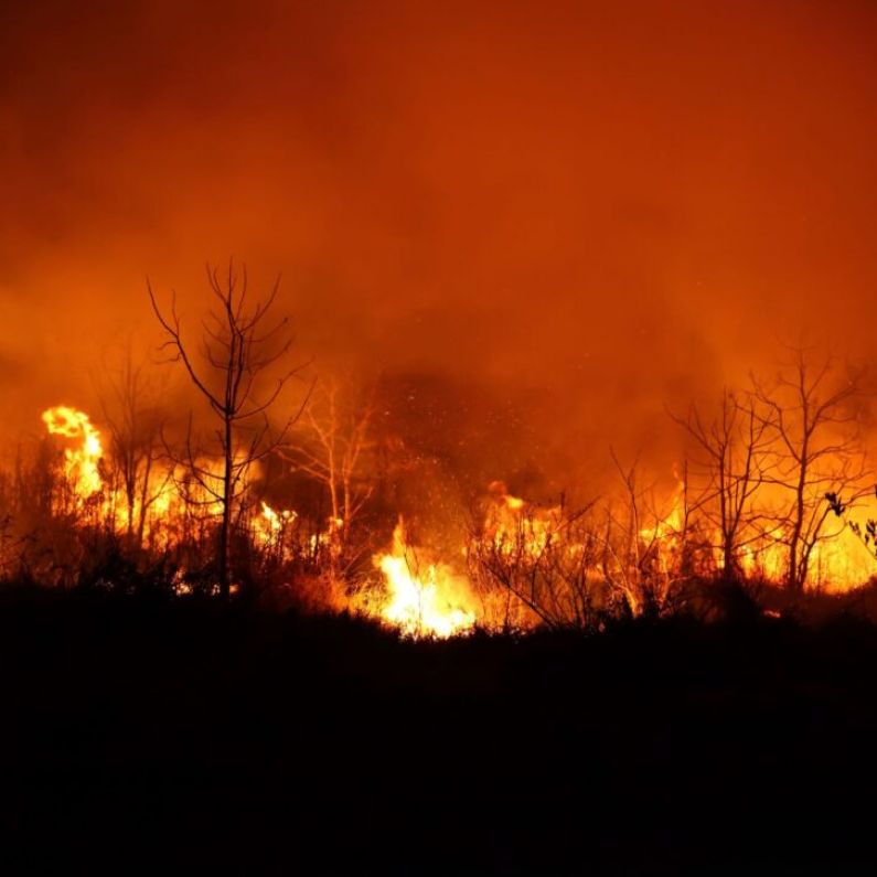 Chief Fire Officer for Galway appeals for the public to be vigilant as a second Condition Orange Fire Warning for bogland and forestry is issued