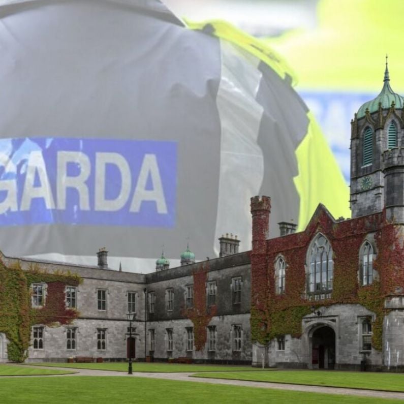 University of Galway President "shocked and upset" over campus assault on international students