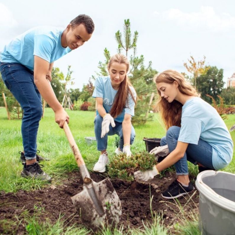 Minister Hildegarde Naughton encourages celebration of National Volunteering Week