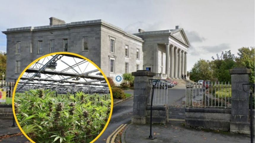 Three walk free from court over alleged €1m growhouse in Kilcolgan