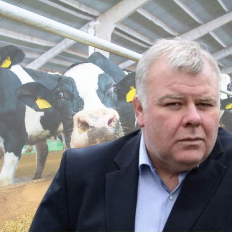 Fitzmaurice slams fear mongering over potential cull of national herd