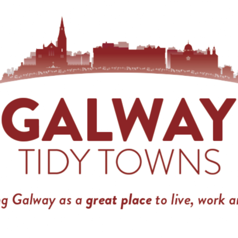 Galway Tidy Towns asking businesses to adopt a spot under a new initiative.