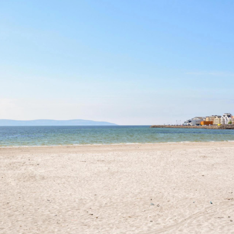 Sand Dune Fencing Project to start at Grattan Beach.