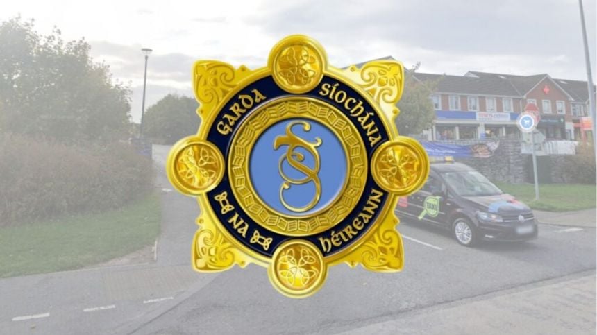 Gardai appeal for witnesses to brawl in Doughiska