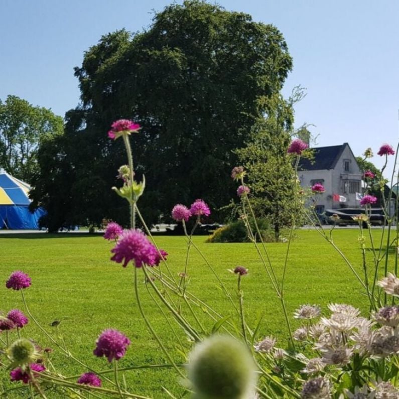 Thousands expected to attend Galway Garden Festival at Claregalway Castle