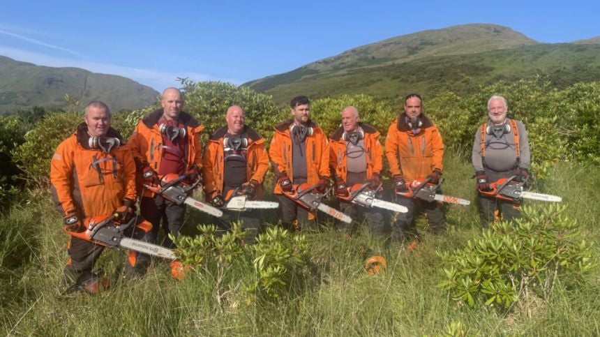 New drive to tackle invasive rhododendron in areas of Connemara and West Mayo