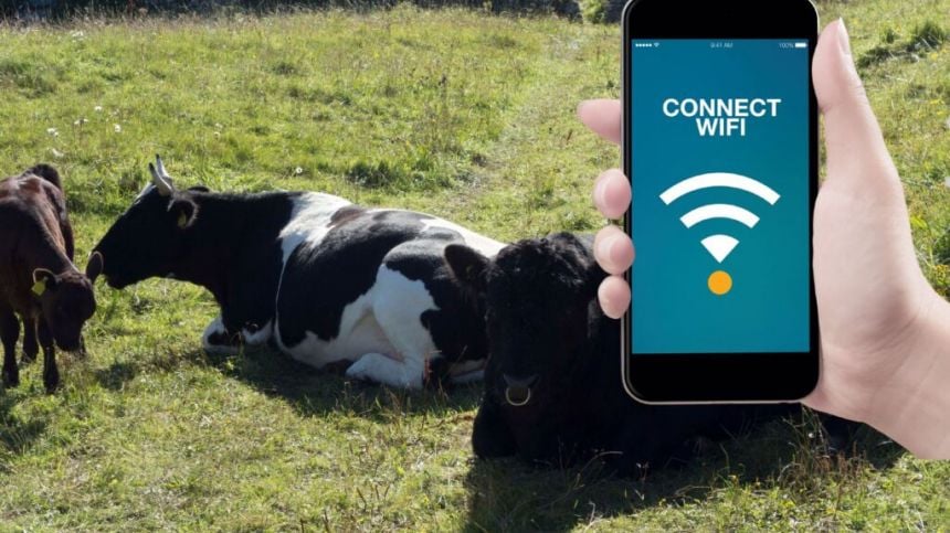 Concerns internet black spots locking out farmers in West from valuable services