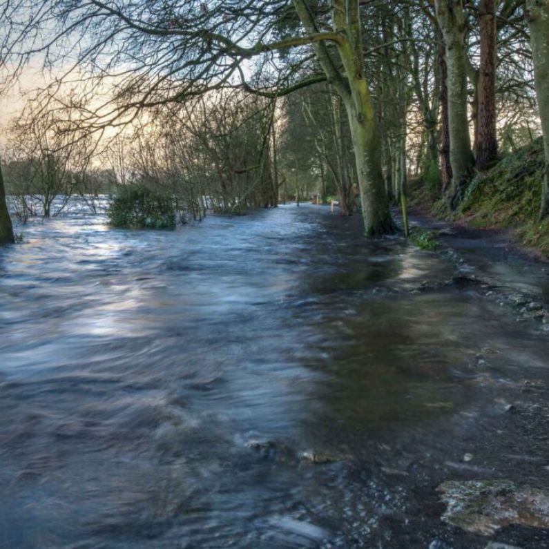 Farms hit hard by flooding along Shannon Callows