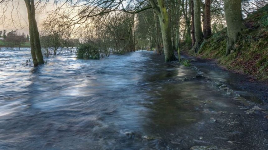 Farms hit hard by flooding along Shannon Callows