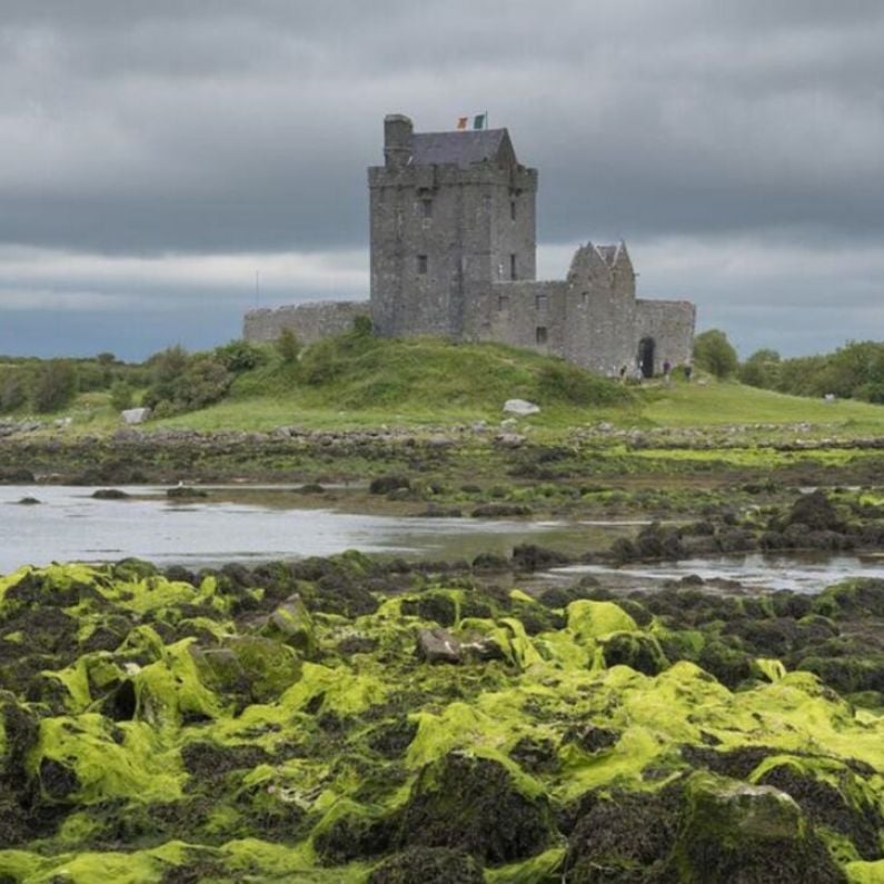 County Council locked in talks to take ownership of Dunguaire Castle