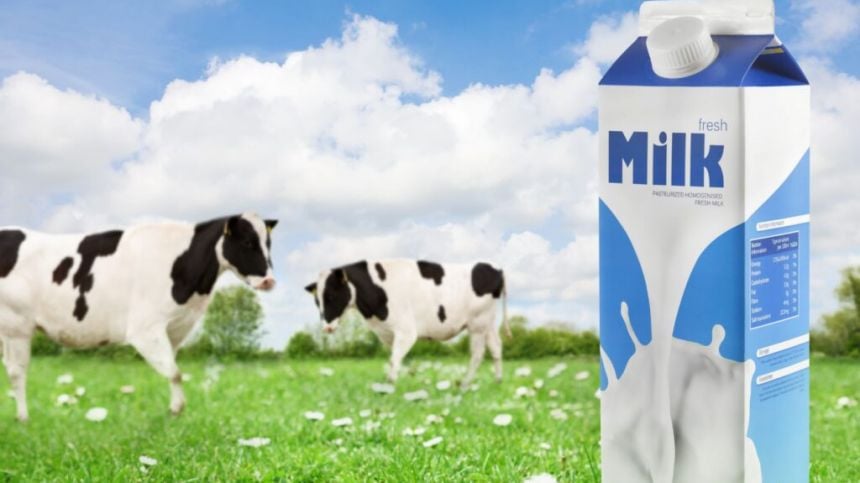 Galway ranked most expensive Irish city for a litre of milk