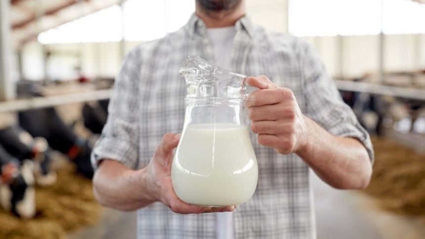 Open day at Oranmore farm to mark Lá Fhéile Bainne on World School Milk Day