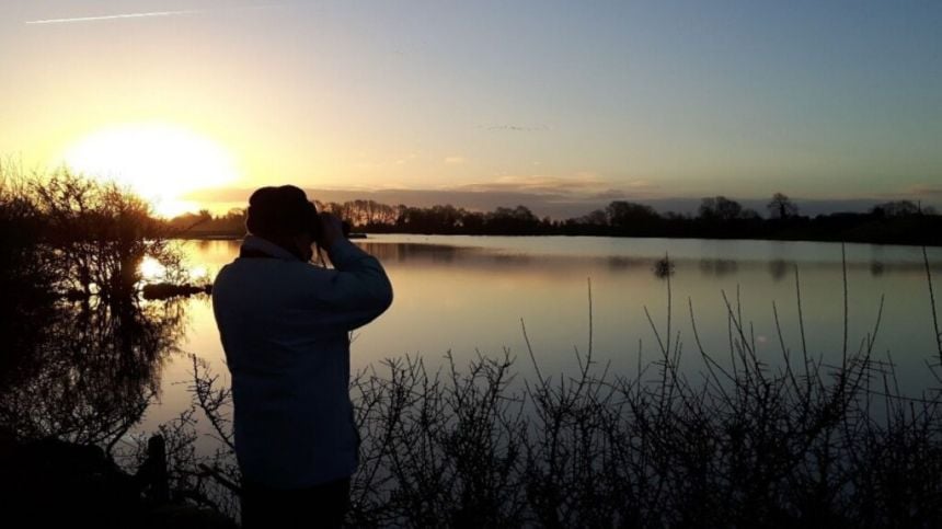 Birdwatching workshops to take place in Knocknacarra and Oranmore