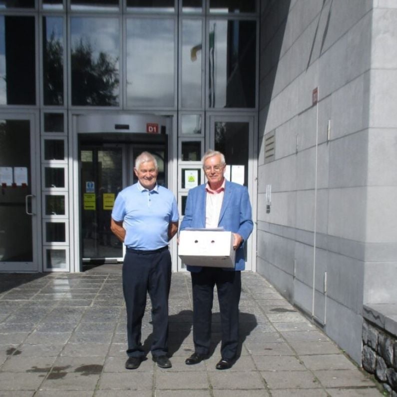 1,000 submissions against proposed traffic lights at Oughterard bridge delivered to County Hall