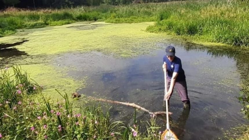 An Taisce's Ponds Project comes to Galway City