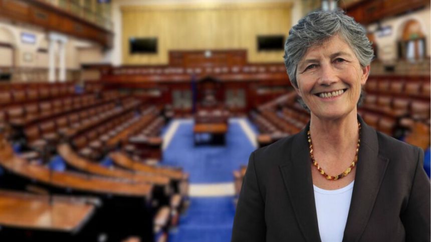 Catherine Connolly says "penny hasn't dropped" with Government on meaningful climate action