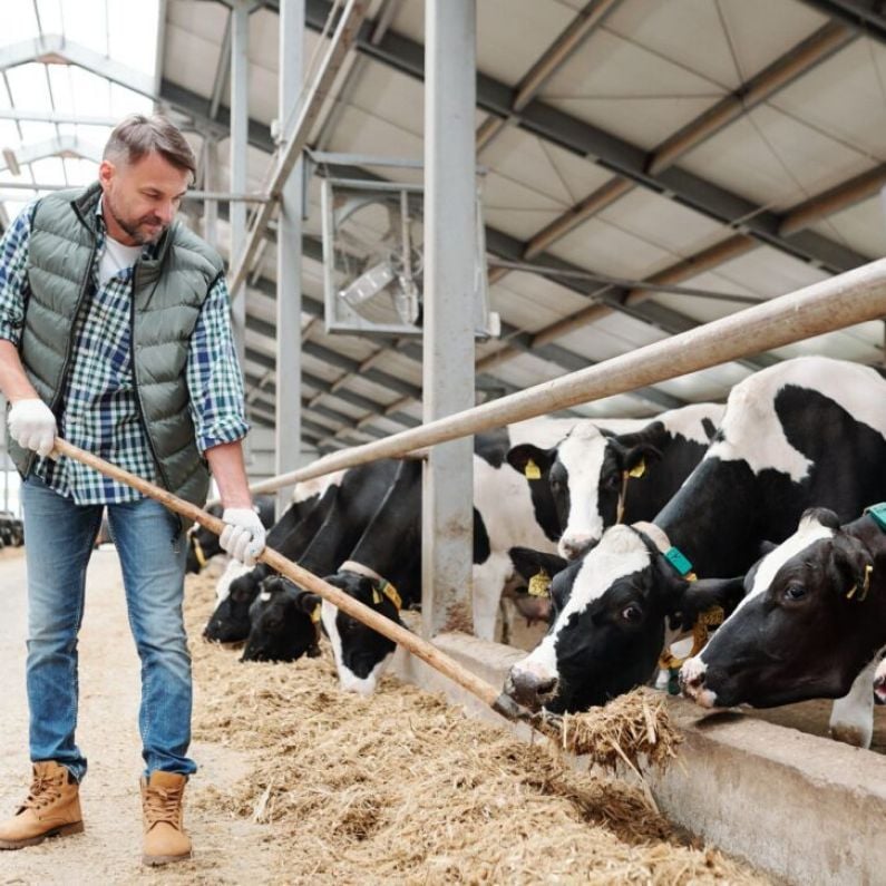 86% of Connacht consumers have confidence in dairy farmers and climate change