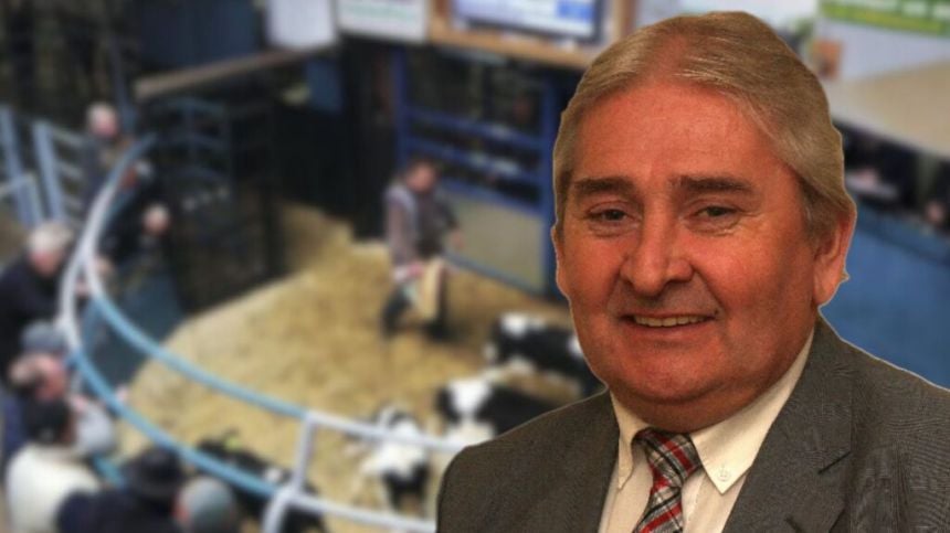 Calls for increased safety barriers at Loughrea mart following weekend death