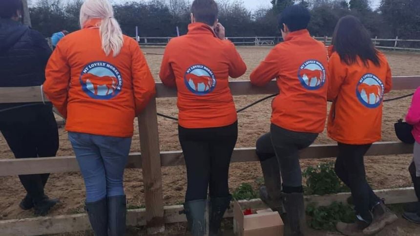 Demand for action on animal abuse and welfare issues at Ballinasloe Fair