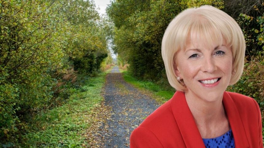 Future contractor for Athlone to Galway greenway warned to take heed of An Bord Pleanala decision