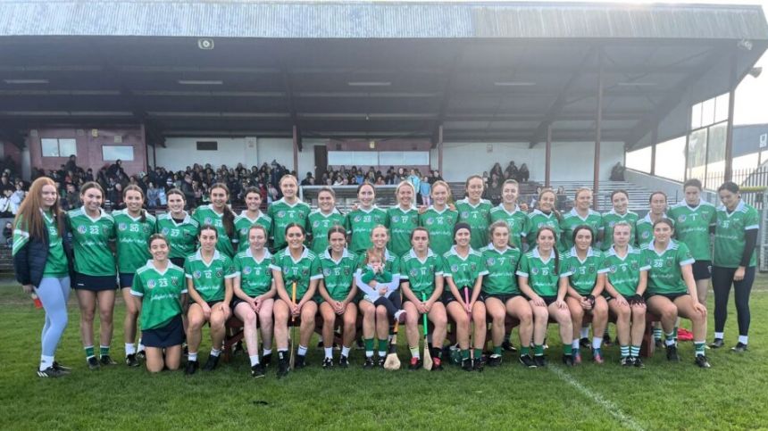 Sarsfields wins County Senior Camogie Title - Highlights and Reaction