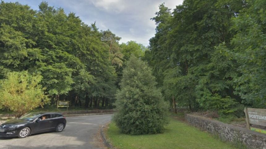 Public consultation on Portumna Forest Park Vision Masterplan extended