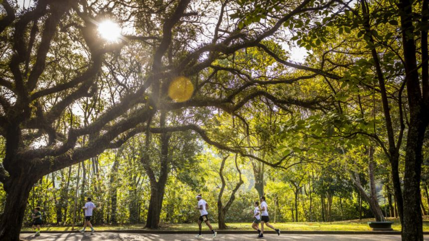 Irish people encouraged to take part in World's Largest Running Event