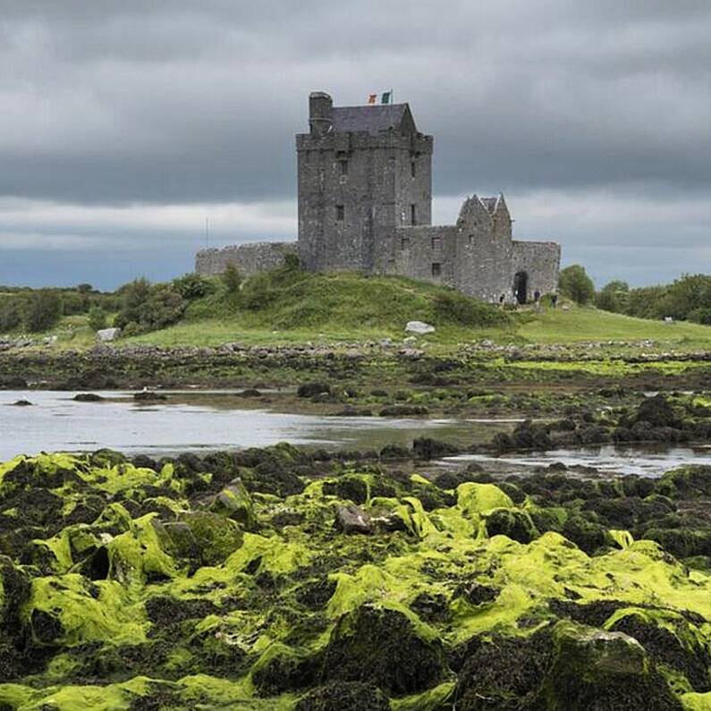 Seanad hears funding plea for reopening of Dunguaire Castle in Kinvara
