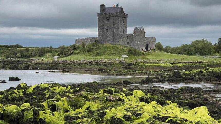 Seanad hears funding plea for reopening of Dunguaire Castle in Kinvara