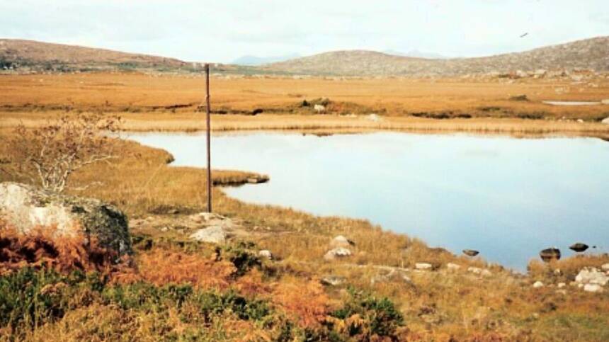 New strand of income to be explored for Connemara farmers