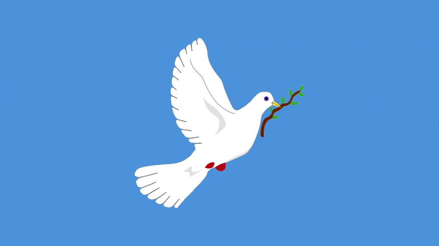 Calls on Galway's local authorities to raise Flag of Peace for Christmas