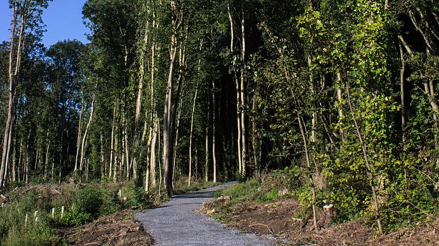 First steps for long-term masterplan for Oranmore's Renville Park