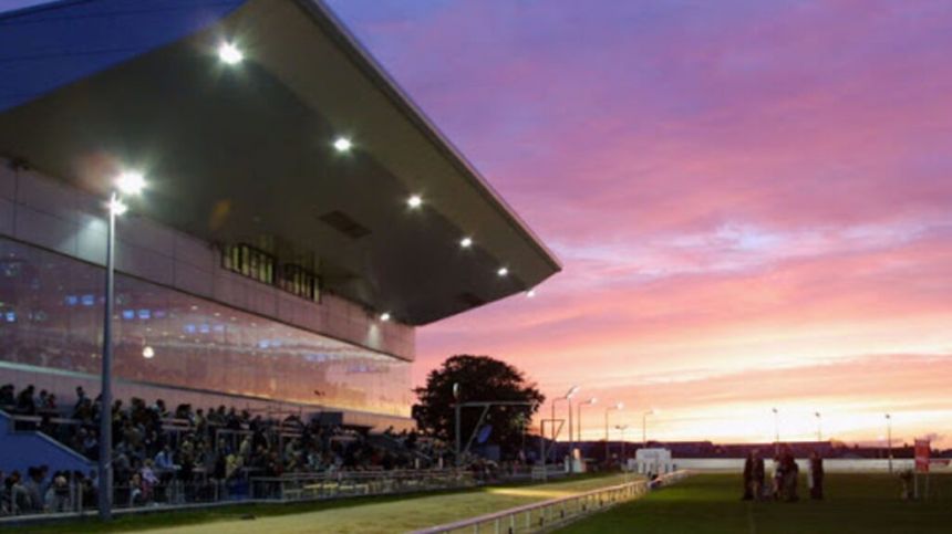 George McDonagh's Greyhound Selections For Saturday Night