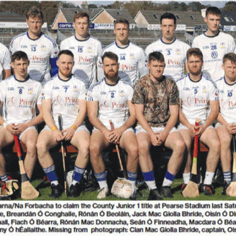 Extra Time Heartbreak For Micheal Breathnach Hurlers In All-Ireland Junior Club Semi-Final