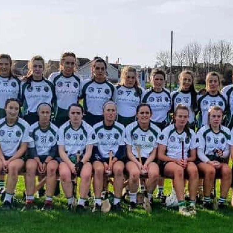 Sarsfields Book Place In All-Ireland Senior Camogie Club Final