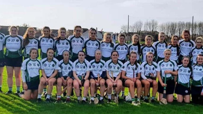 Sarsfields Book Place In All-Ireland Senior Camogie Club Final